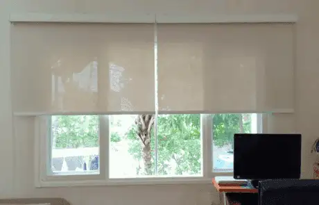 Discover the Magic (5)