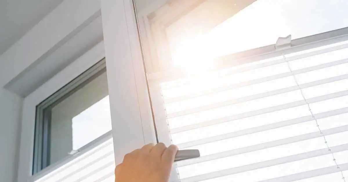 Eco Friendly Window Treatments | EV Blinds