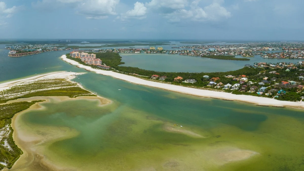 Marco Island Sea Turtle Ordinance Ev Blinds Custom Window Treatments Blinds