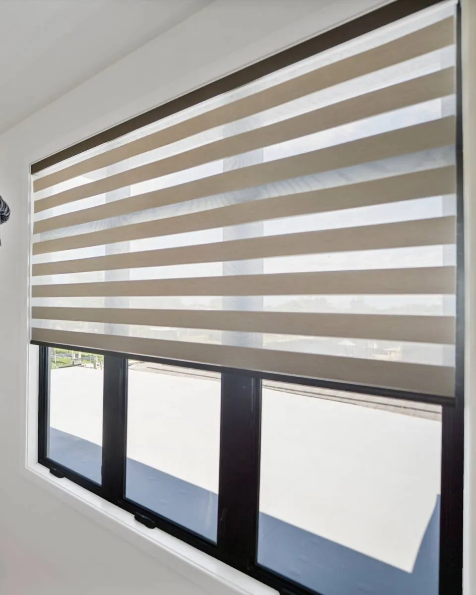 Zebra Shades for living room window