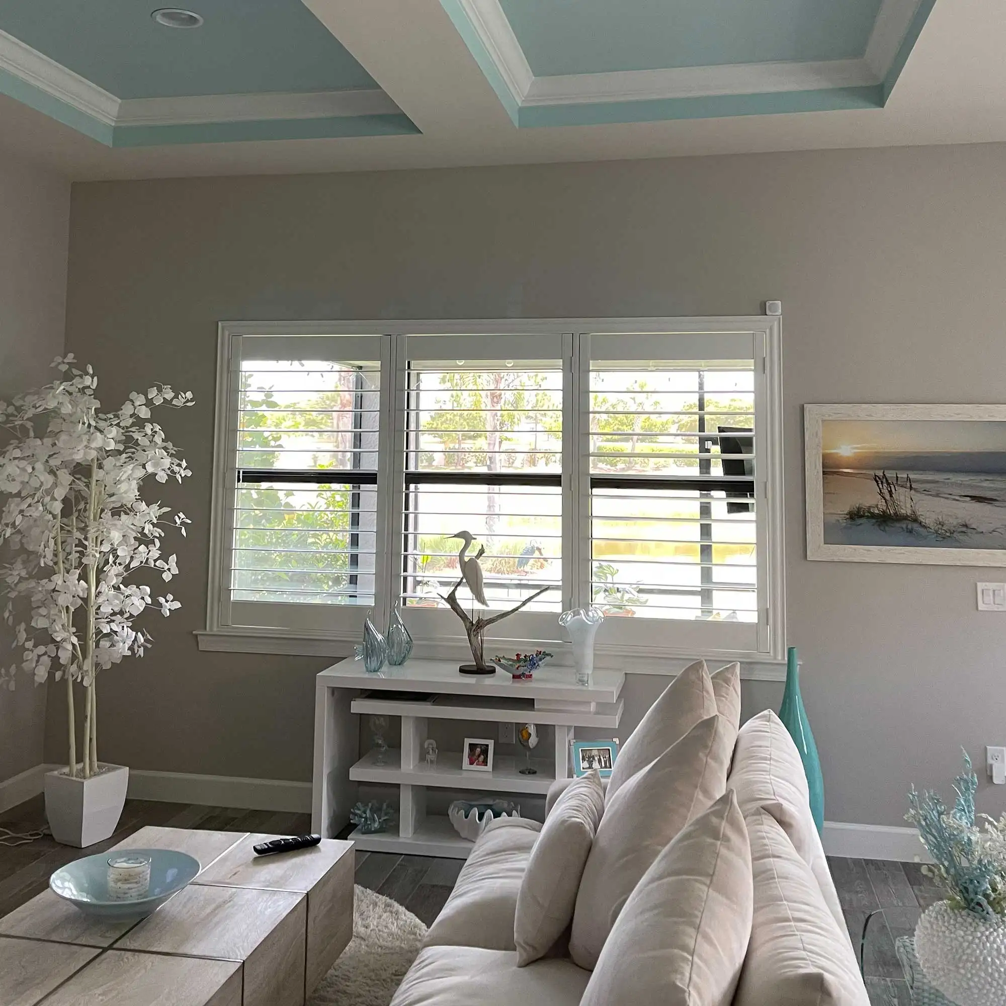 plantation shutter blinds