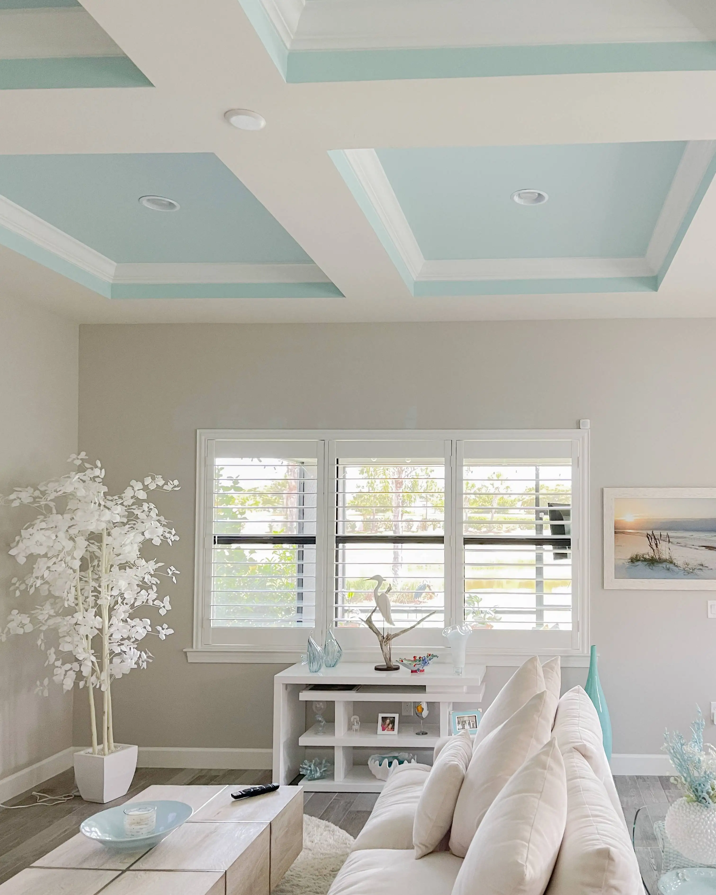 Plantation Shutters for small window blind in living room in Pelican Bay