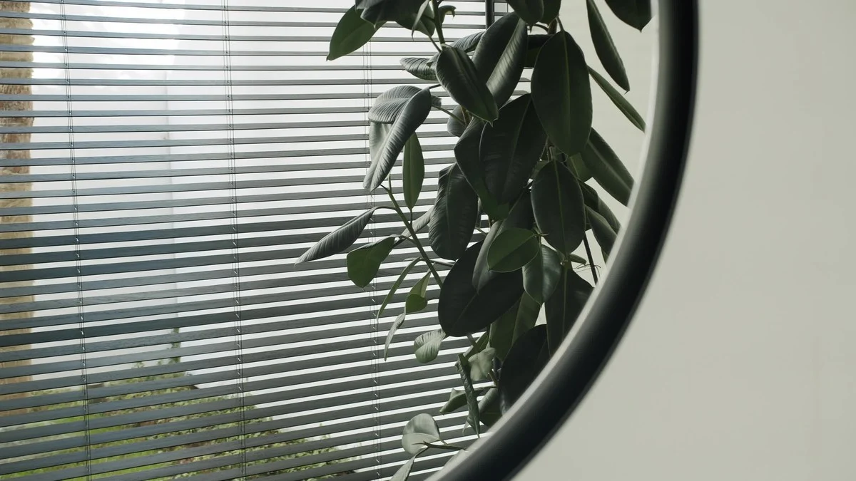 Horizontal blinds tilted to soften bright coastal daylight