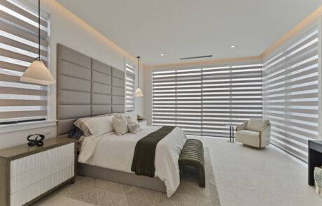 zebra blind 2 Day and night blinds