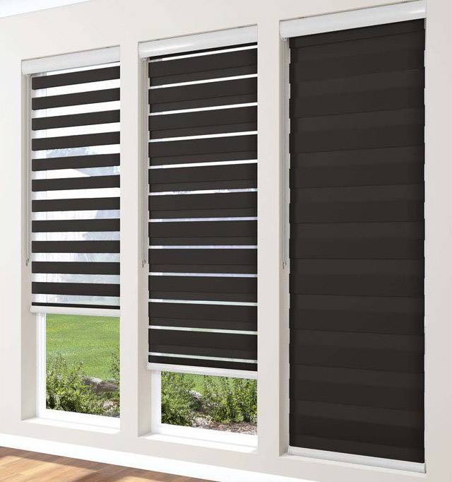 Zebra Roller Shades Custom Window Treatments by EV Blinds