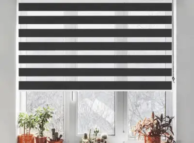 Zebra Shades by EV Blinds in North Naples FL