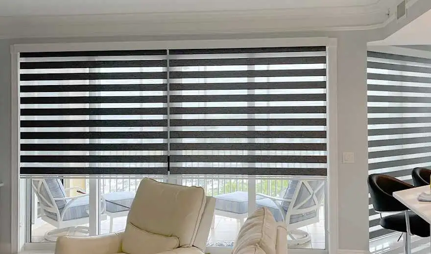 zebra shades window treatments | EV Blinds